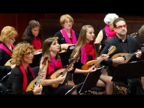 Orchestra mandolinistica di Lugano   Nicola Piovani La vita  bella