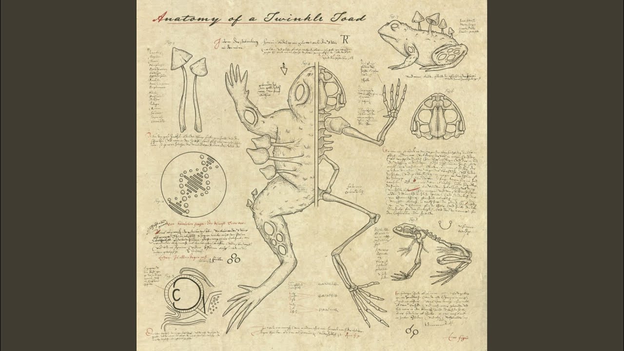 New Earth (Mesck Remix)