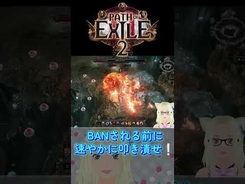 知識ゼロから始めるPoE2：もろ出しな相手はBANされる前に速やかに叩き潰せ❕#vtuber #ゲーム女子 #gamegirl #poe2 #pathofexile2 #ハクスラ #玄人