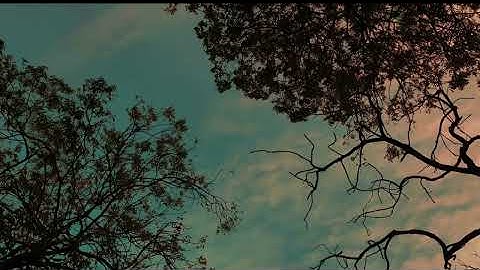 لاتهرب استمع إلى القرآن الكريم (وأنزر الناس يوم يأتيهم العذاب )