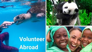 GoEco | Volunteering abroad with WILDLIFE, HUMANITARIAN & ENVIRONMENTAL programs