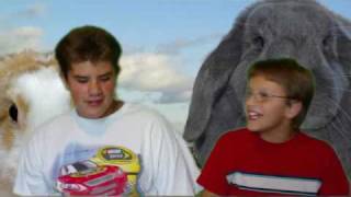 Green Screen Test