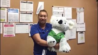 Rainforest Carwash for Koalas Slidell Gause