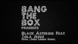 Black Asteroid feat. Zola Jesus - Howl (Chris Liebing Remix)