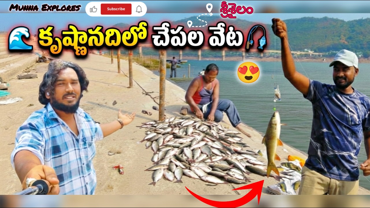 Krishna Nadi Lo Chepala Veta 😍| Srisailam Fishing Vlog 🎣