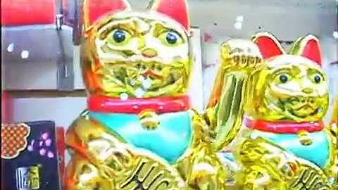 light blending in & code abi - leaving leaves (music video)