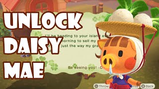 How To Unlock Daisy Mae In Animal Crossing New Horizons!