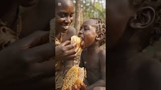 Harvesting Honey without Protection? #shorts
