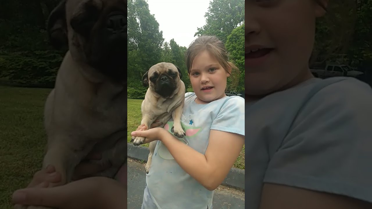  That Just My Baby Dog