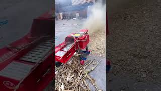 chaff Cutter Machine for Animal Feed | Chaff Cutter in Action#chaffcuuter #chaffcuttermachine