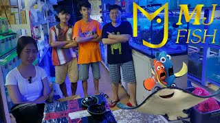 Review Harga Ikan Laut Di Toko MJ Fish Di Jakarta Timur .Edukasi Untuk Pemula Di Akuarium Laut