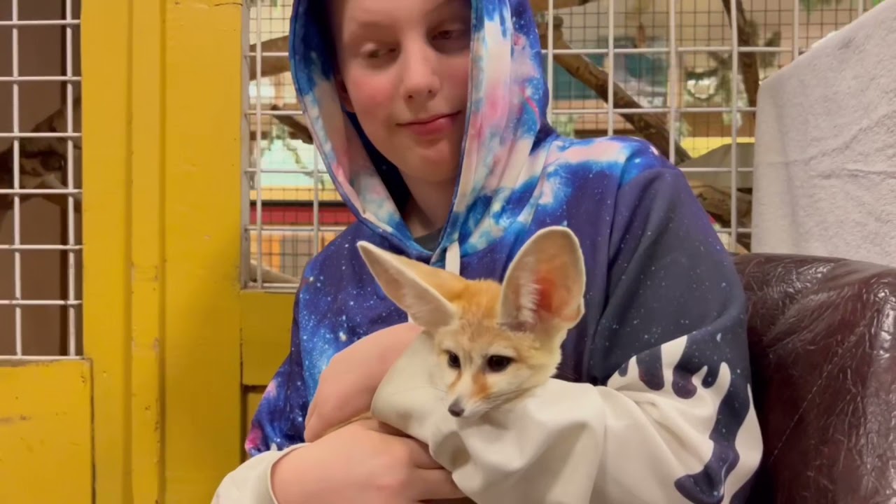 Sustainable Safari - Guided Safari