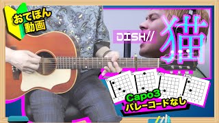 【かんたんギター】猫 - DISH//【初心者コード】