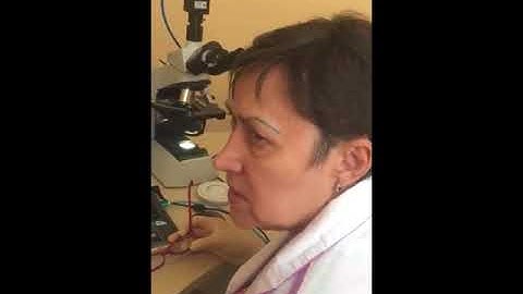 Драже APL. Врач по капле крови показывает через электронный микроскоп действие продукта  APLGO