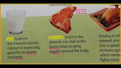 Science Class 4 Ch 4 Food and diet (Minerals)