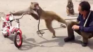 Trim B7B62011 0Bc5 4Ea3 8Ad7 2Ed2443F8F00