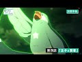 TVã‚¢ãƒ‹ãƒ¡ã€Œä½ã€…æœ¨ã¨ãƒ”ãƒ¼ã¡ã‚ƒã‚“ã€ç¬¬4è©±ã€ŽçŽ‹å­ã¨è³¢è€…ã€WEBäºˆå‘Š