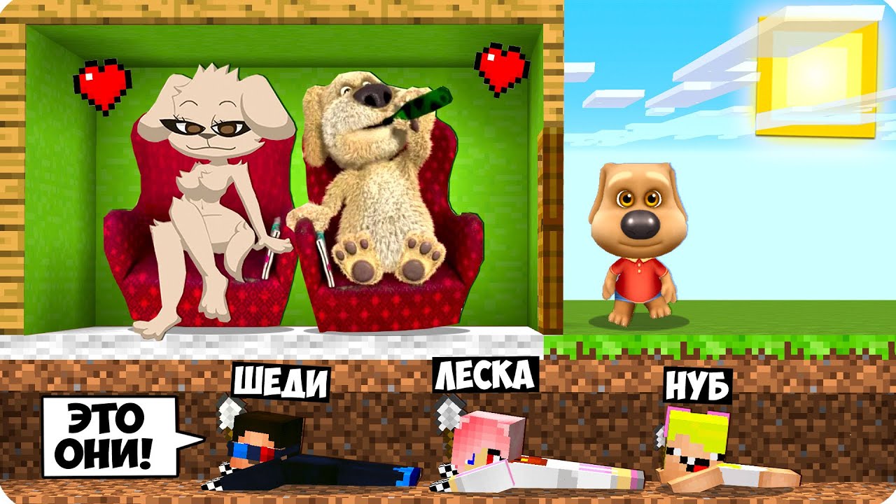 Шеди собака