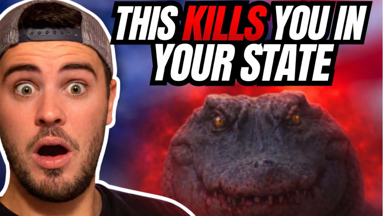 Реакция южноафриканцев: самое опасное животное в каждом штате США