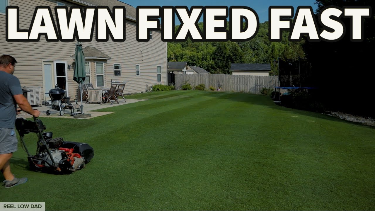 Shocked at How Well My Lawn Recovered After I DID THAT! YouTube