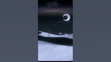 سورة الشمس | وديع اليمني | تلاوة هادى وخاشعة وجميلة