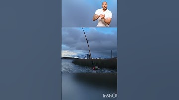 HUGE red drum take down😮#shortvideo #short #shorts #redfish