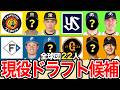 【現役ドラフト予想22人】2024年の現役ドラフト候補を解説