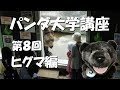 パンダ大学講座　第8回　ヒグマ編 の動画、YouTube動画。