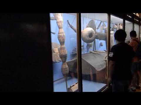 Video: Americké muzeum přírodní historie
