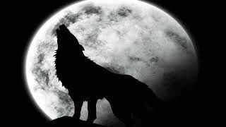 ' Luna llena ' Don Omar
