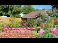 Tour de Verano hermosas Dalias, rosas,geranios y cómo está el huerto