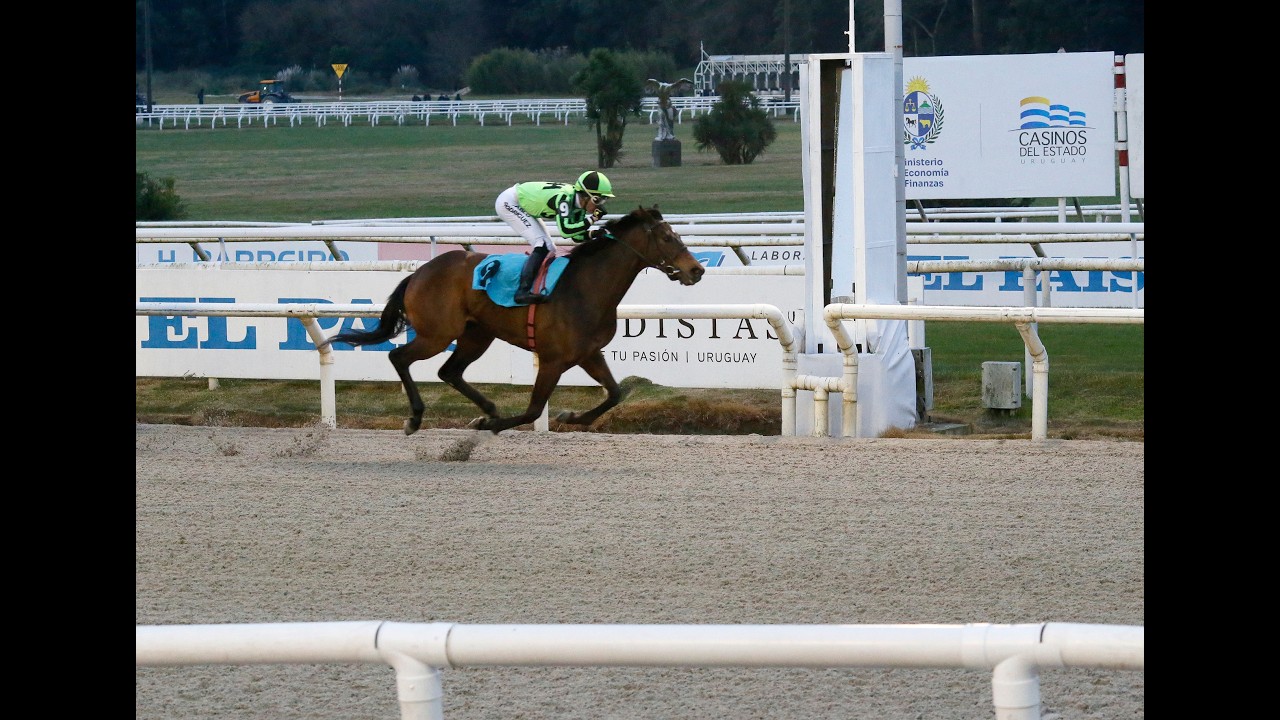 Gran Premio Criterium Potrancas (Uru) (G2) 2026 - Sweet Feel (Lucullan)
