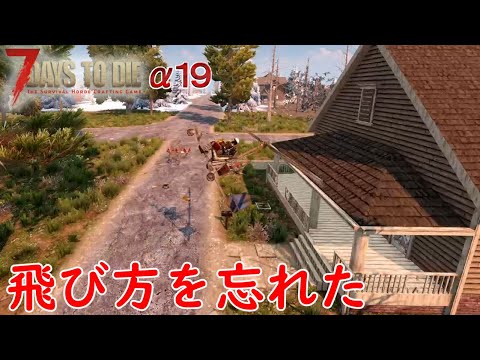 セシカ Sesika