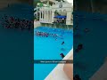 Korea wave pool