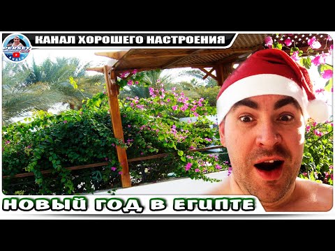 Египет зимой! Шарм Эль Шейх в январе. Новый год на красном море.