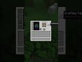 Minecraft, but if i die the video ends