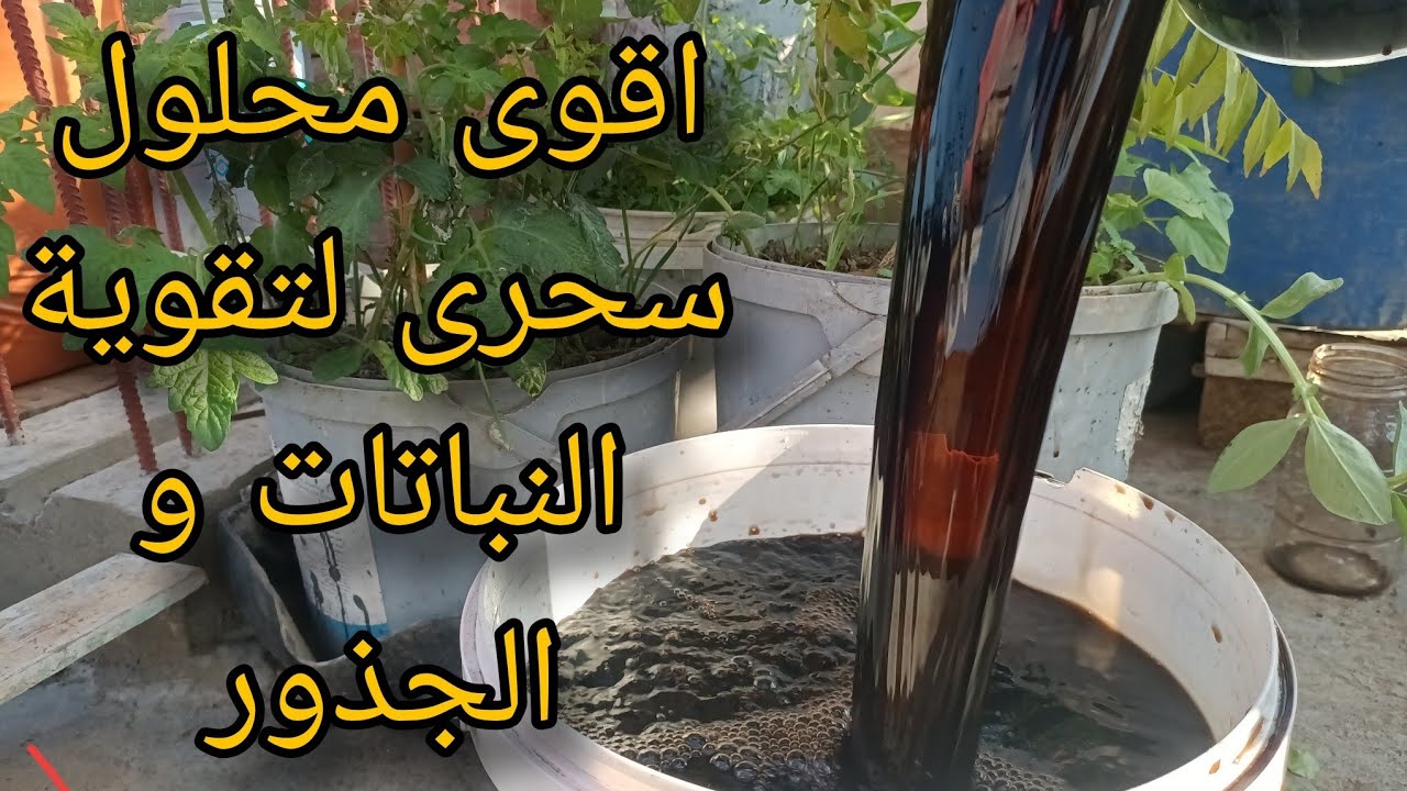 فوائد الهيوميك اسيد للتربه والنبات اقوى محلول ساحر لتقويةالجذورThe benefits of Humic Acid solution🌿