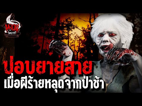 วีดีโอ: กว่า 130 สุนัขที่บันทึกจากฟาร์มเนื้อสุนัขเกาหลี