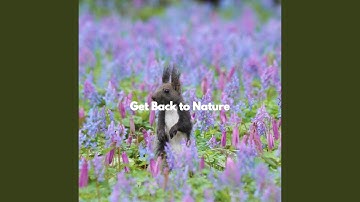 Simplistic Backdrops for Limitless Eras