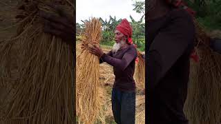 ৬৪ বছরেও সুপারমান চাচা