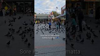 Evening Atmosphere in Cabramatta, Sydney, Australia 🇦🇺