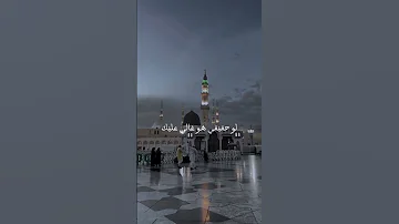 طال سؤالى ماهر زين قرآن اكسبلور 
