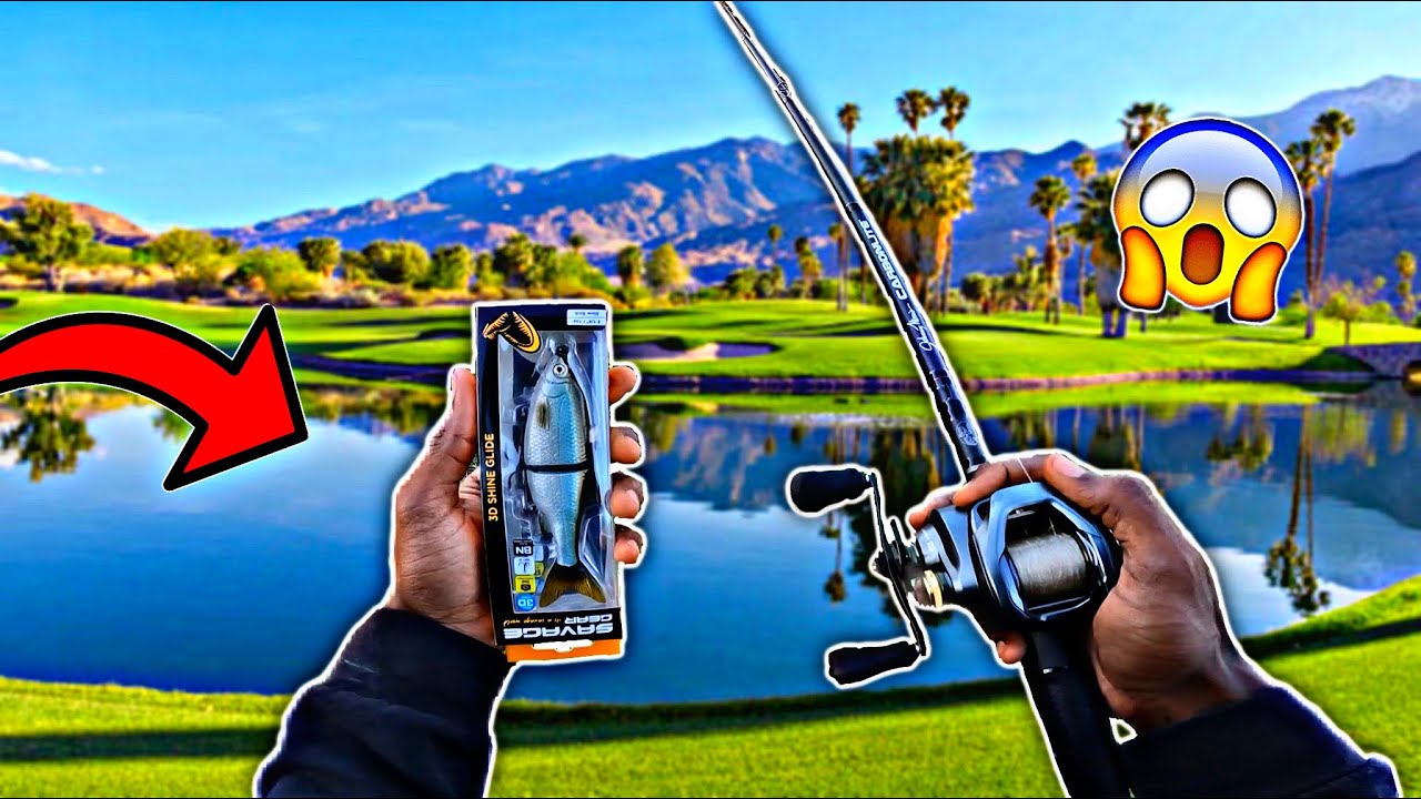 BIG GLIDE BAIT FISHING PRIVATE PROPERTY GOLF COURSE ⛳️ PONDS FOR BIG BASS😱FT SAVAGE GEAR *$20 LURE*