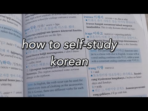 🇰🇷 how to start self studying korean  📚 my top 5 tips