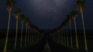 Shayan Pasha - Heaven Road (Yashar Remix)