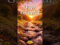 Feel Grateful ✨ Calm Joy