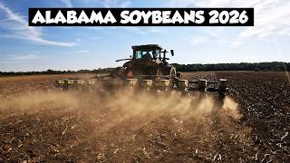 WE ARE RUNNING OUT OF MOISTURE BUT STILL PLANTING BEANS