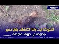 اشتوكة آيت باها اكتشاف بقايا حمير مذبوحة في ظروف غامضة 