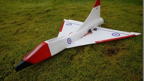 Homemade RC Delta Wing Plane With Pilot