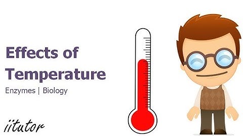 💯 The Effects of Temperature on Enzymes Explained with Clear Methods
